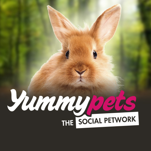 Concours photo Quand mon animal fête Pâques  par Yummypets